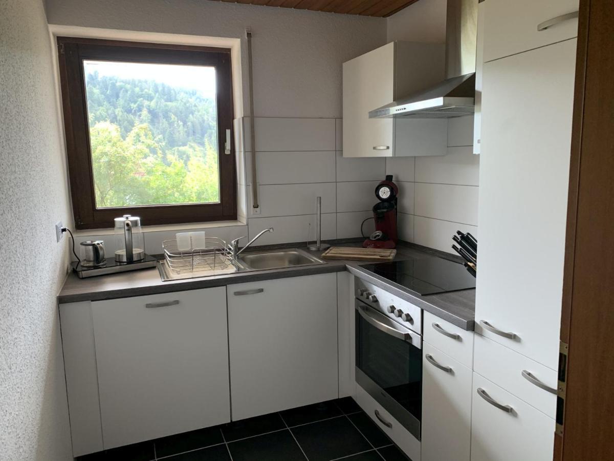 Schlossblickwohnung Schiel Apartment